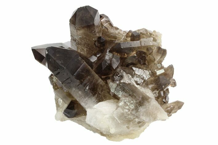 Dark Smoky Quartz Crystal Cluster - Brazil #124576